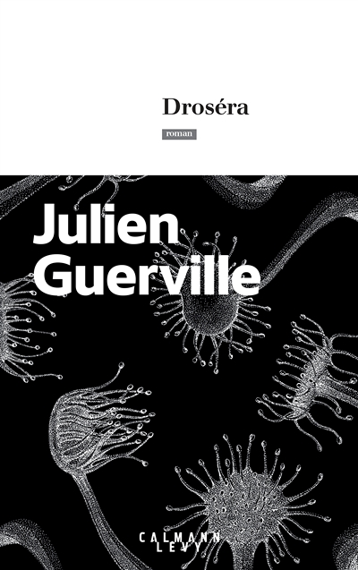 Droséra (Grand format)