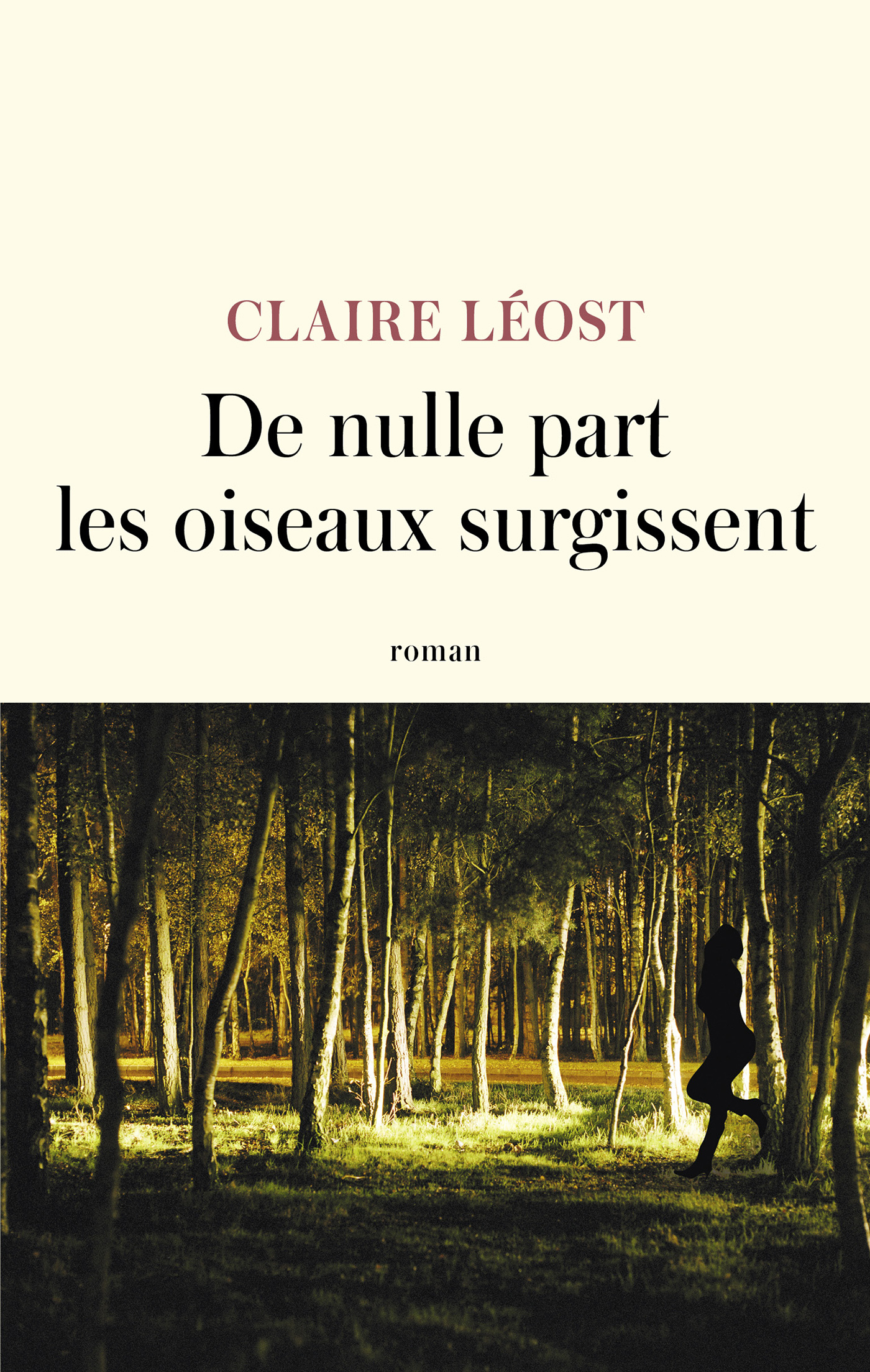 De nulle part les oiseaux surgissent (Grand format)