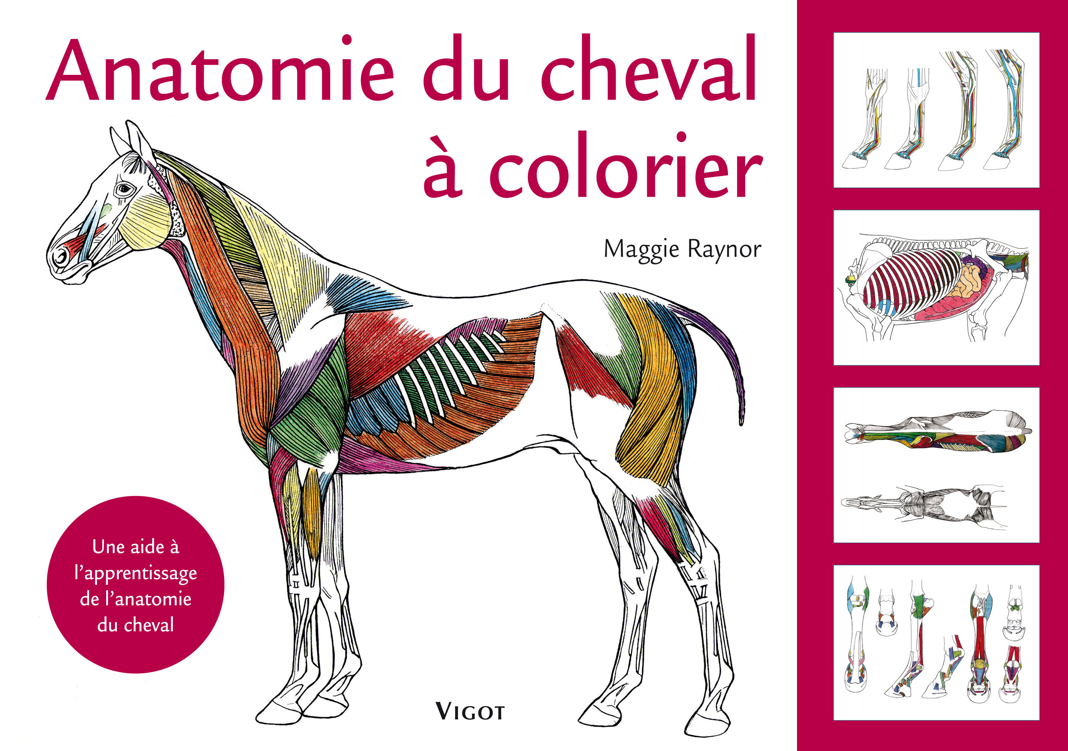ANATOMIE DU CHEVAL A COLORIER (Relié)