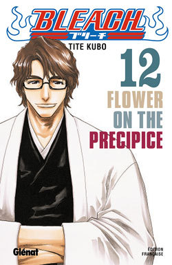 Bleach - Tome 12 - Flower on the precipice (Manga)
