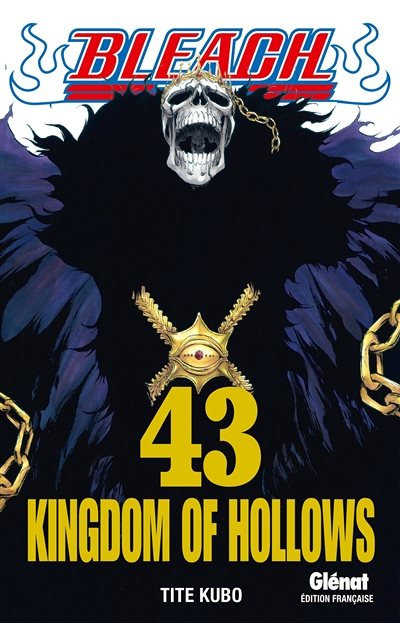 Bleach - Tome 43 - Kingdom of hollows (Manga)