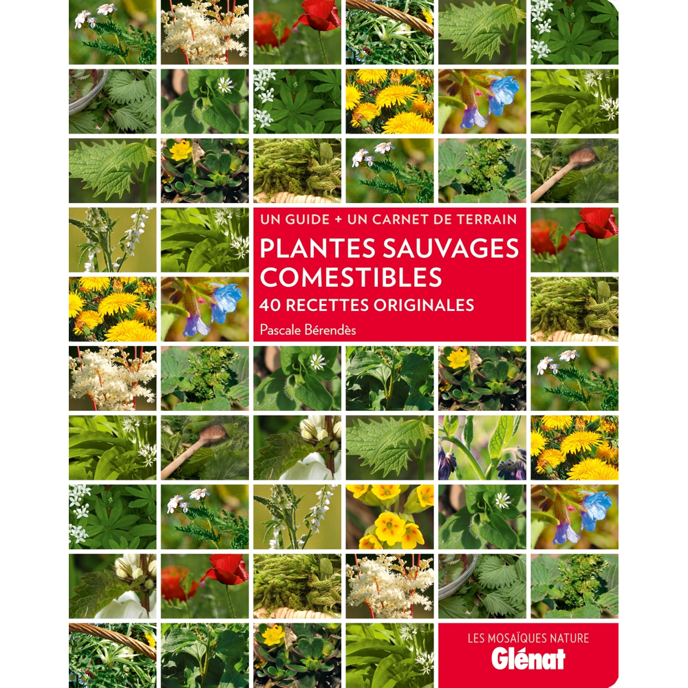 Plantes sauvages comestibles (Relié)