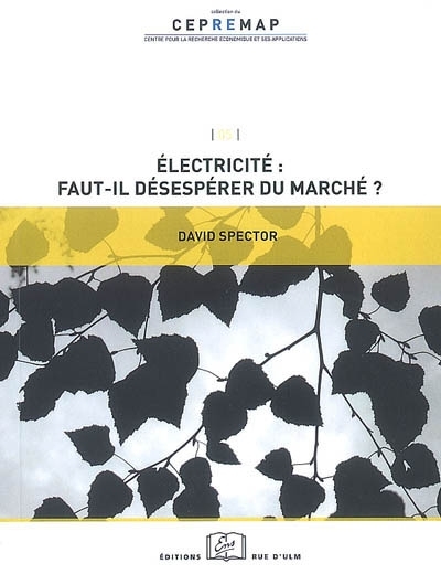 Electricité, faut-il désespérer du marché ? (Broché)