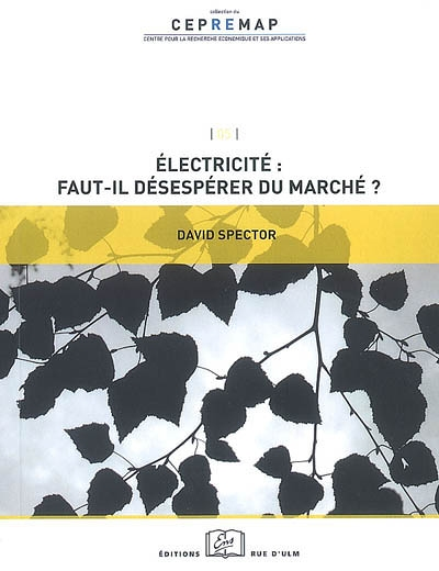 Electricité, faut-il désespérer du marché ? (Broché)