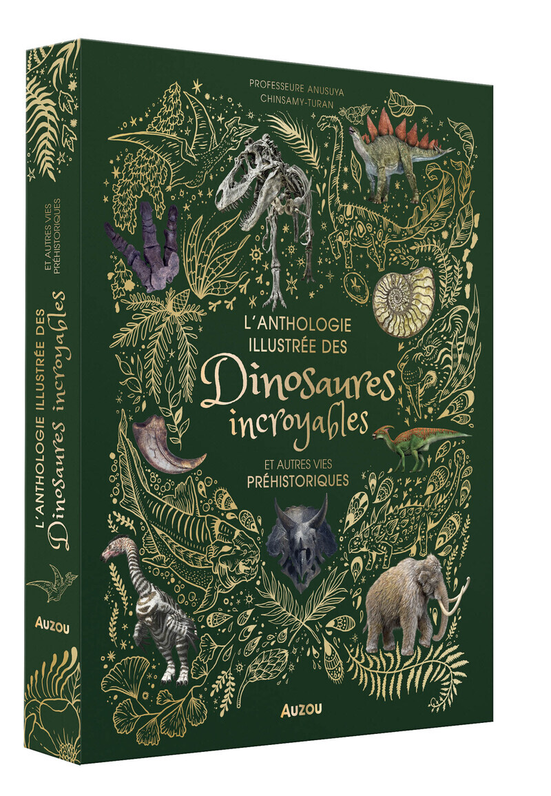 L'ANTHOLOGIE ILLUSTRÉE DES DINOSAURES INCROYABLES ET AUTRES VIES PRÉHISTORIQUES (Jeunesse)