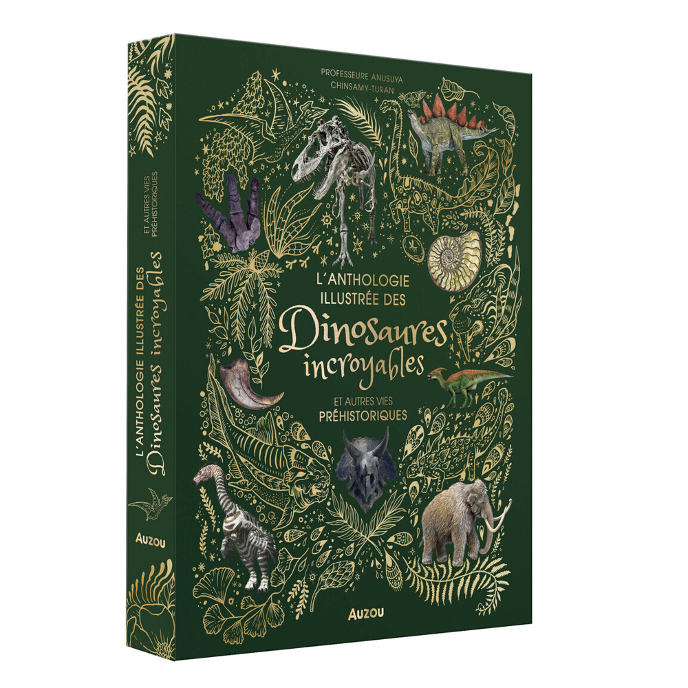 L'ANTHOLOGIE ILLUSTRÉE DES DINOSAURES INCROYABLES ET AUTRES VIES PRÉHISTORIQUES (Jeunesse)