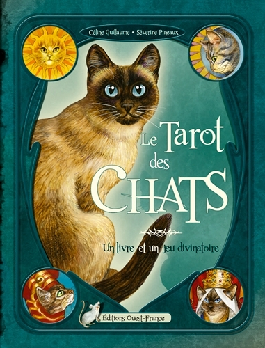 Tarot des chats (Coffret)