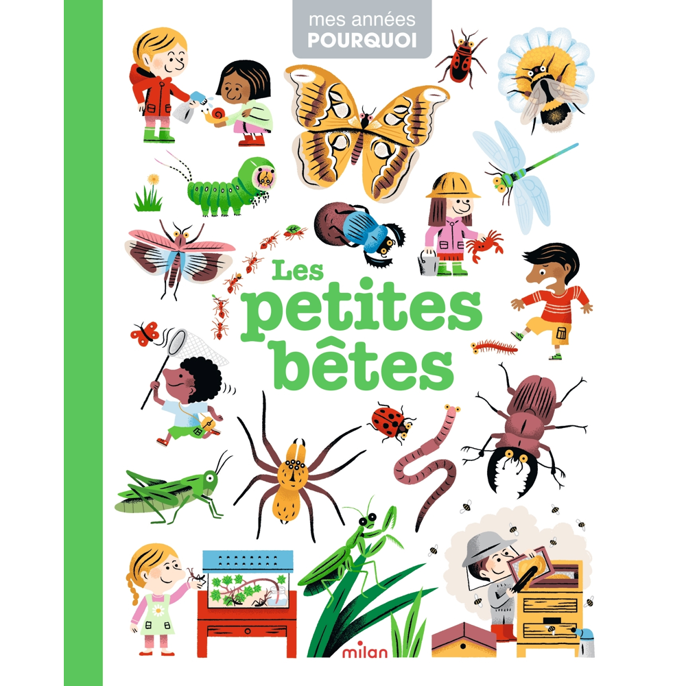 Les petites bêtes (Jeunesse)