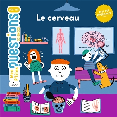 Le cerveau (Jeunesse)