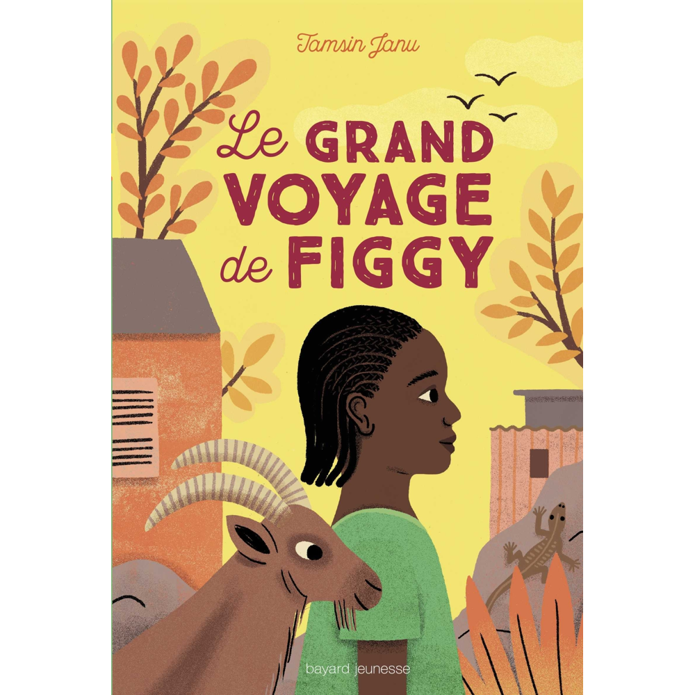 Le grand voyage de Figgy (Jeunesse)