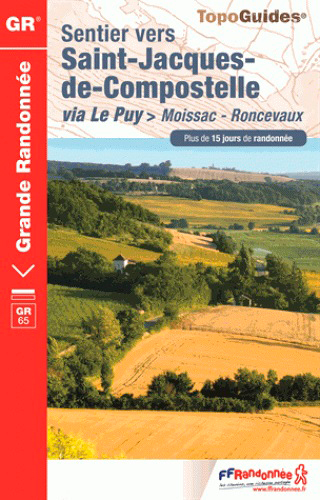 SAINT JACQUES MOISSAC-RONCEVAUX 2017-82-32-40-64-GR-653 (Broché)