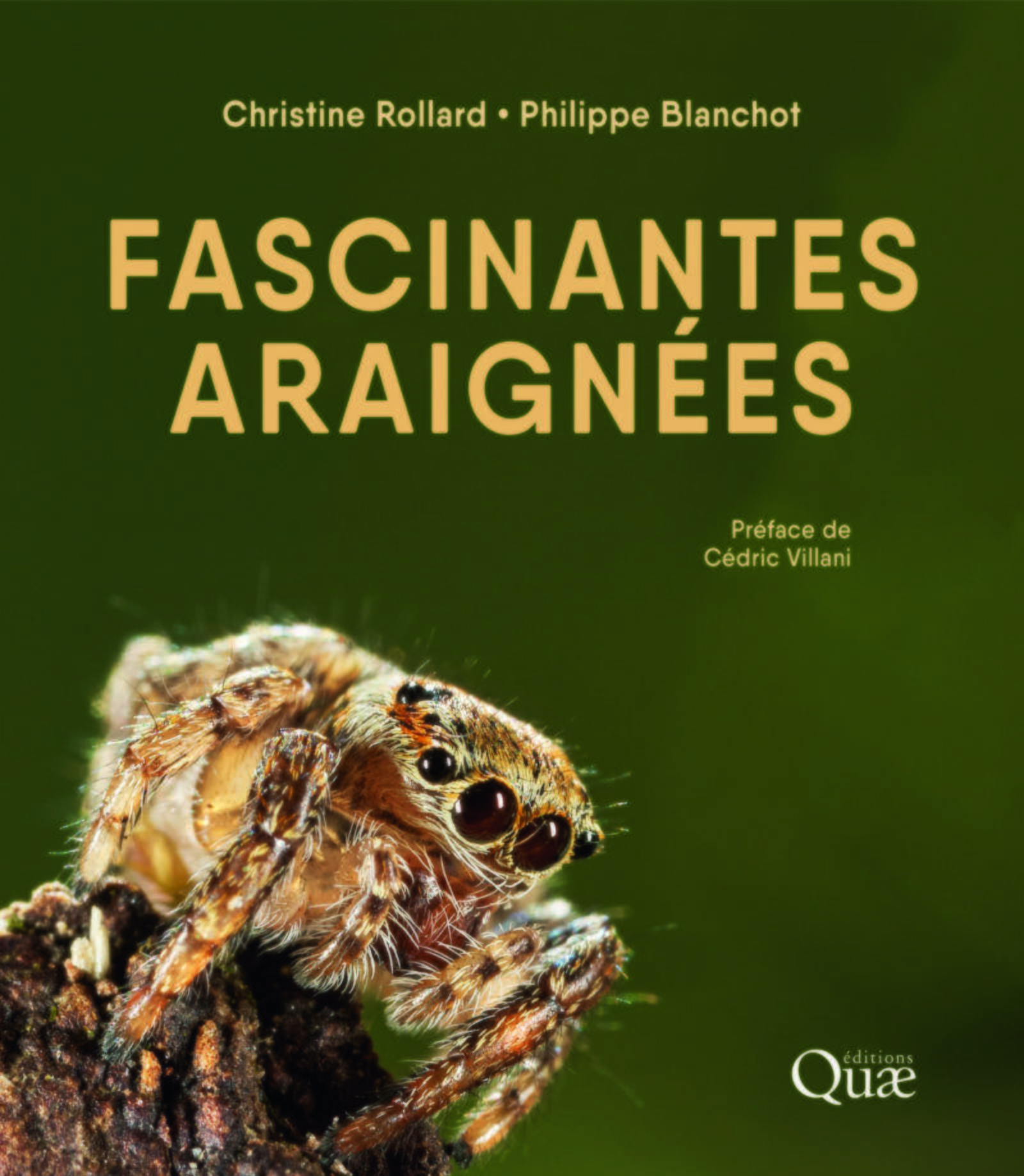 Fascinantes araignées (Relié)