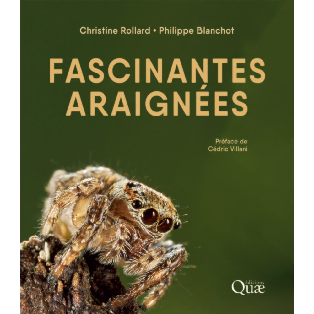 Fascinantes araignées (Relié)
