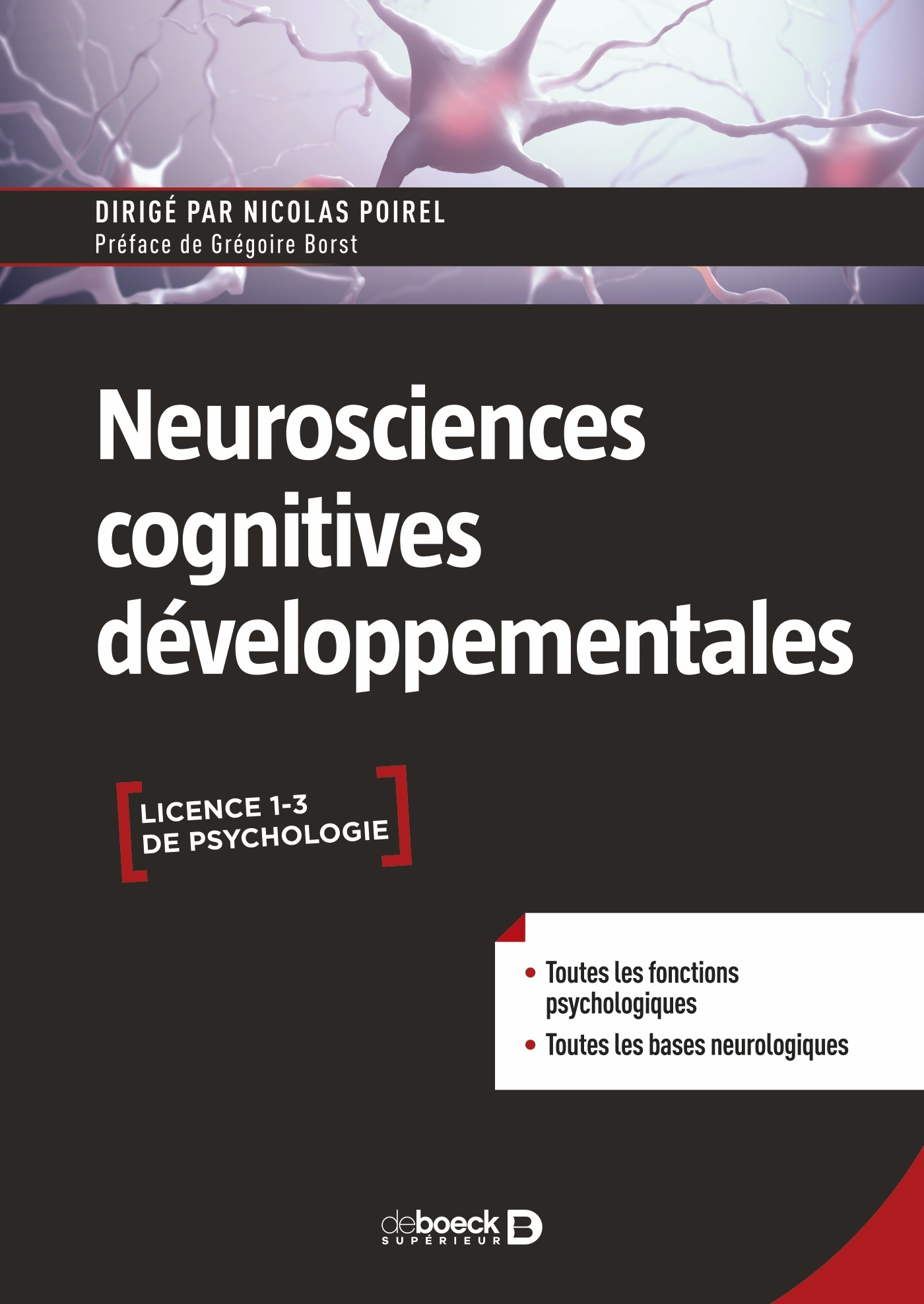 Neurosciences cognitives développementales (Broché)