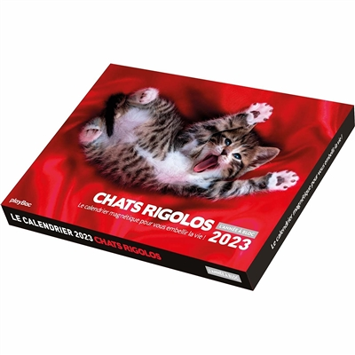 Calendrier photos 2023 Chats rigolos - L'Année à Bloc (de janv. à déc. 2023) (Etui)