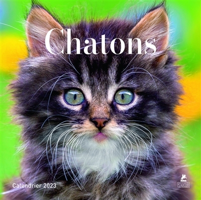 Chatons - Calendriers 2023 (Spirale)