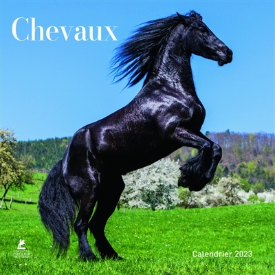 Chevaux - Calendrier 2023 (Blister)