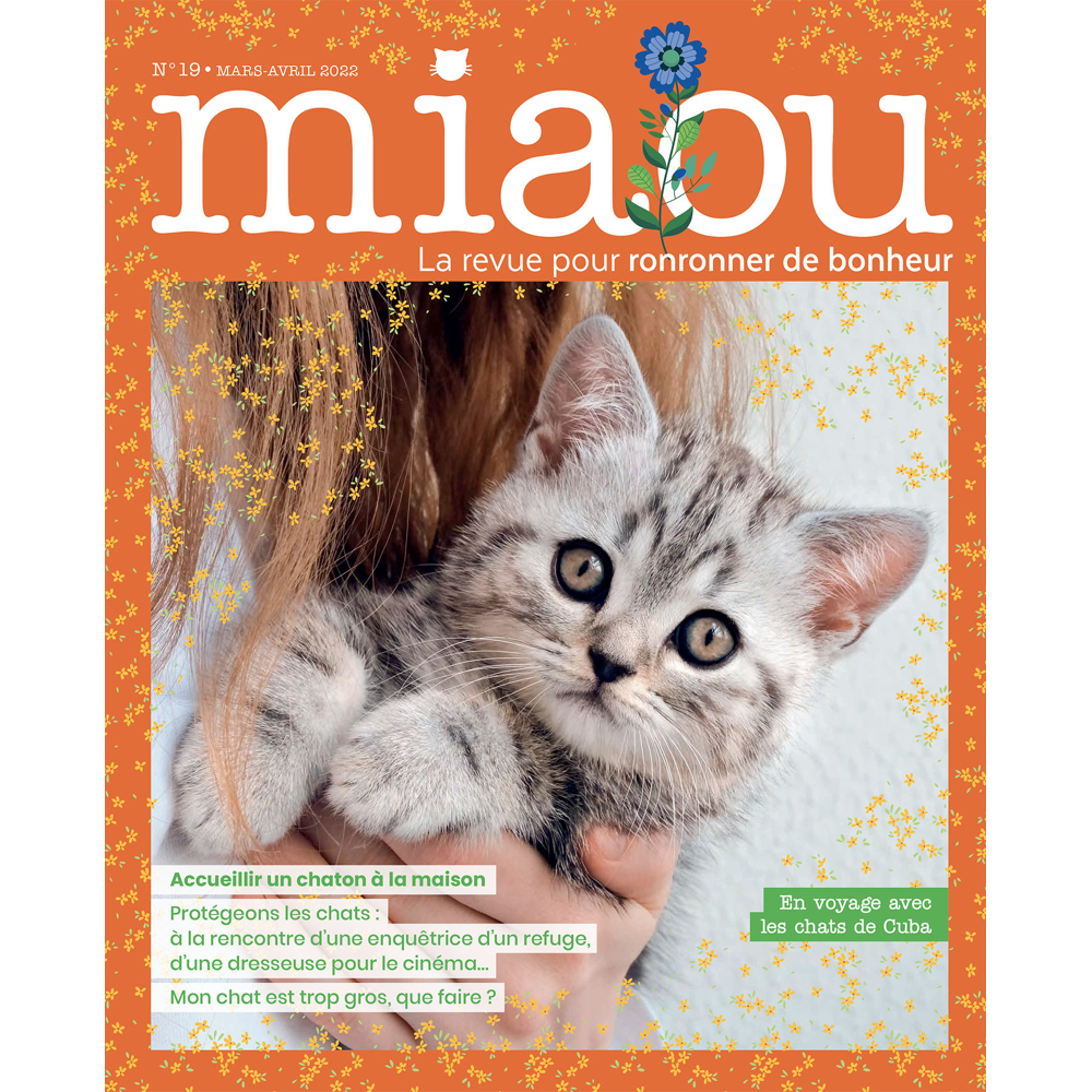 Miaou 19 (Revue)