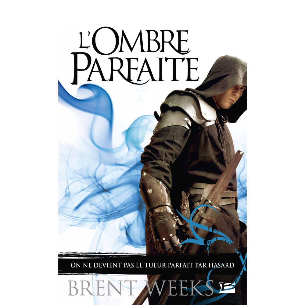 L'Ombre parfaite (Poche)