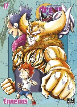 Dreamland Tome 17 - Ennemis (Manga)