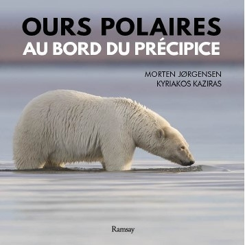 Ours polaire au bors du précipice (Broché)