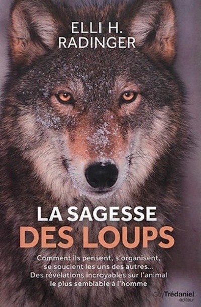 La sagesse des loups (Broché)