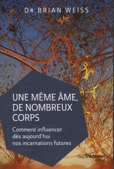 Une même âme de nombreux corps - Comment influencer dès aujourd'hui nos incarnations futures (Broché