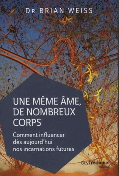 Une même âme de nombreux corps - Comment influencer dès aujourd'hui nos incarnations futures (Broché