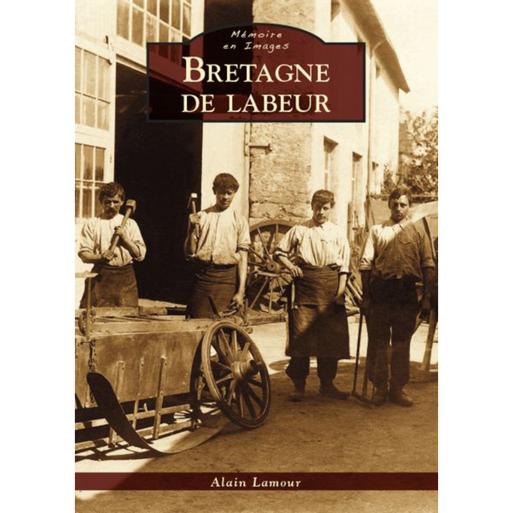 Bretagne de labeur (Relié)