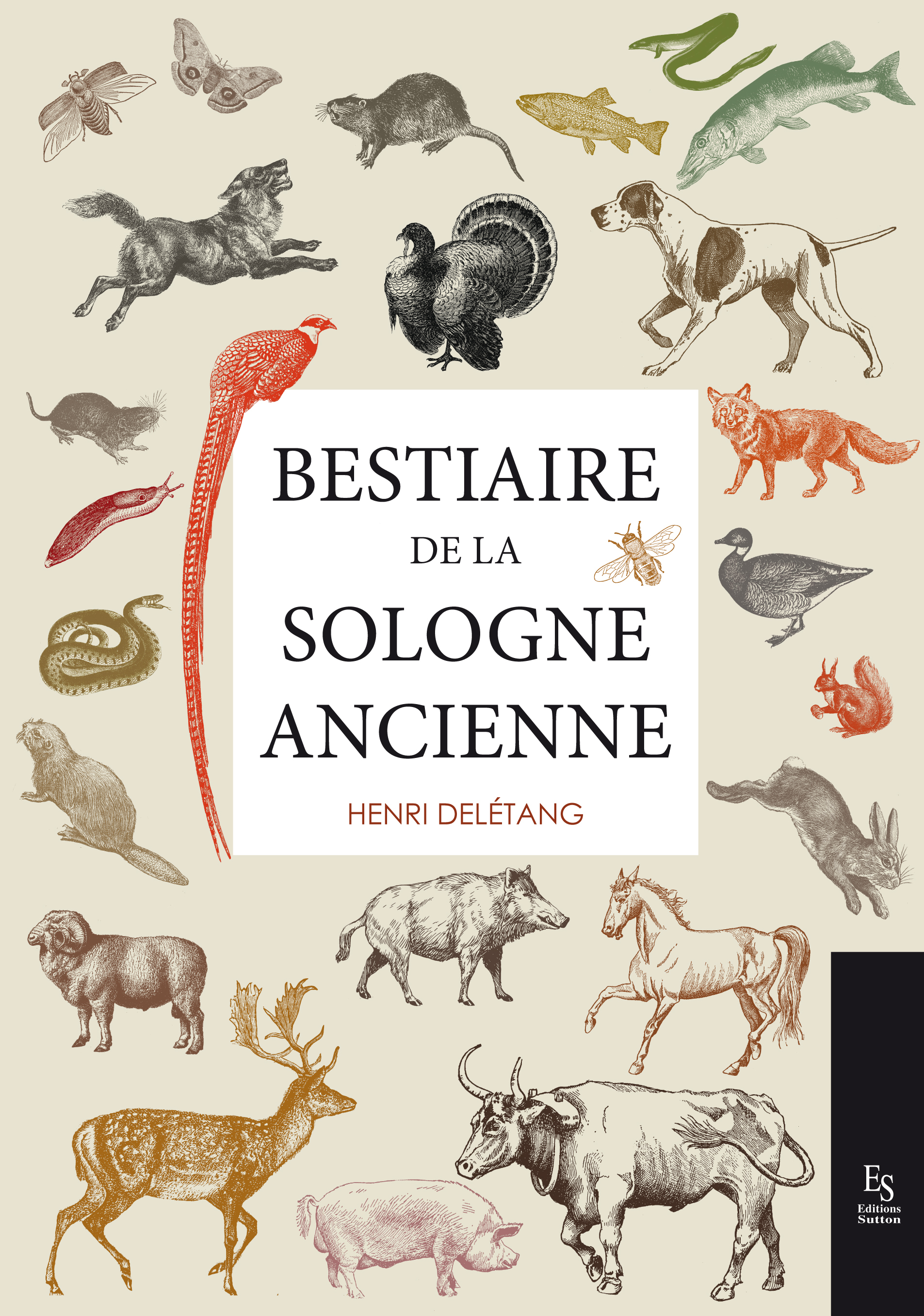 Bestiaire de la Sologne ancienne (Broché)