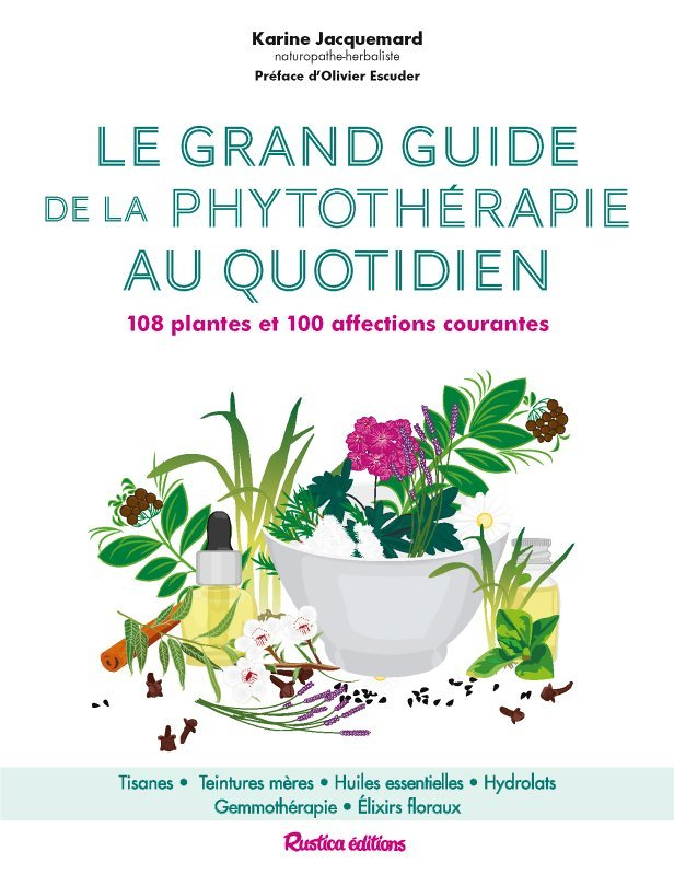 Le grand guide de la phytothérapie au quotidien (Broché)
