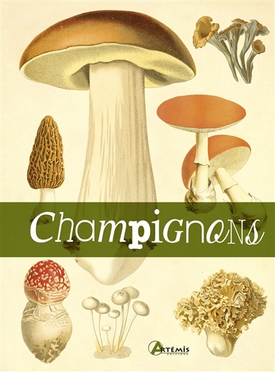 Le livre des champignons (Relié)