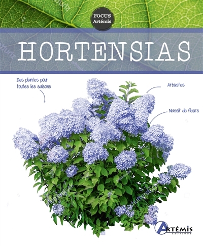 Hortensias (Cartonné)