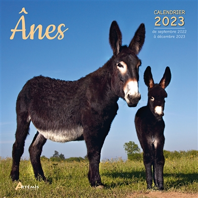 Calendrier ânes 2023 (Broché)