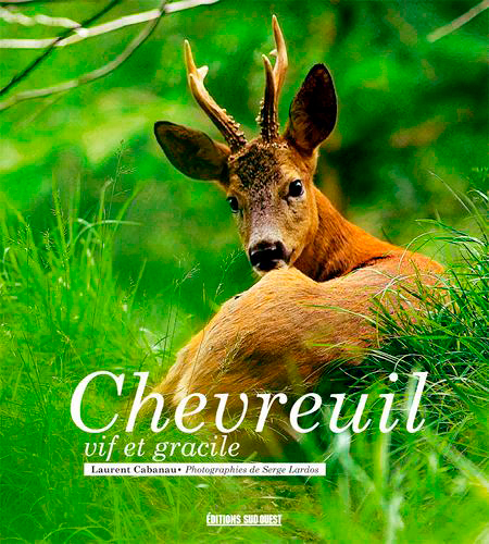 Chevreuil (Relié)