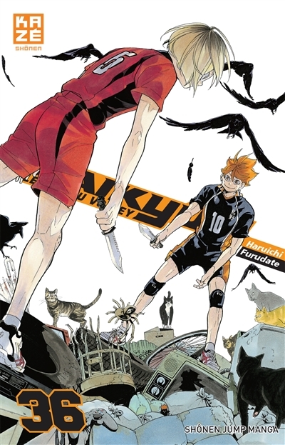 Haikyu Tome 36 (Manga)