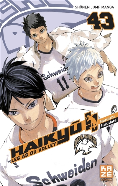 Haikyu Tome 43 (Manga)
