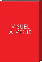 Viewfinder Tome 11 (Manga)