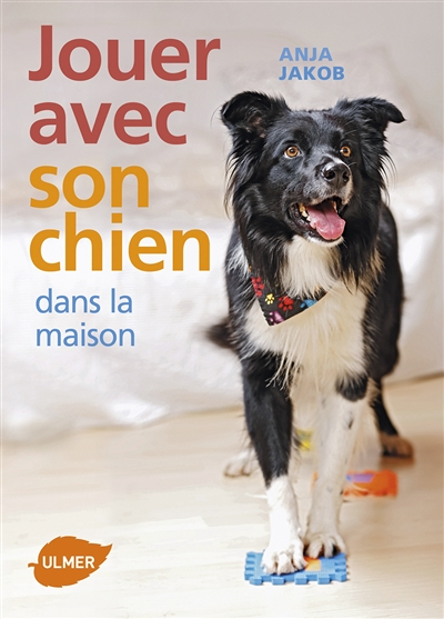 Jouer avec son chien dans la maison (Broché)
