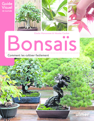 Bonsaïs - Comment les cultiver facilement (Broché)