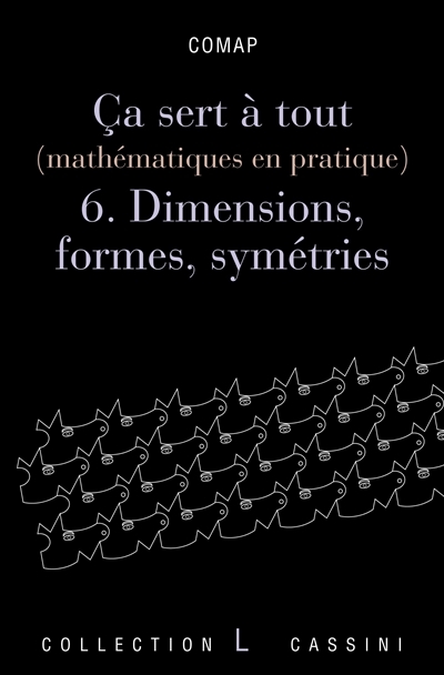 Ça sert à tout (T6) - dimensions et formes (Broché)