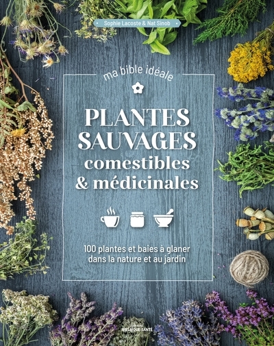 Plantes sauvages comestibles & médicinales, ma bible idéale - 100 plantes et baies à glaner dans la nature et au jardin (Broché)