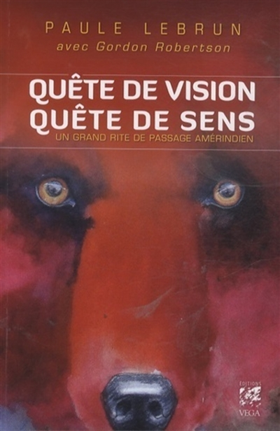 Quête de vision, quête de sens (Broché)