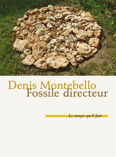 Fossile directeur (Grand format)