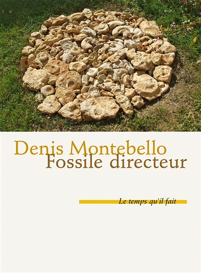 Fossile directeur (Grand format)