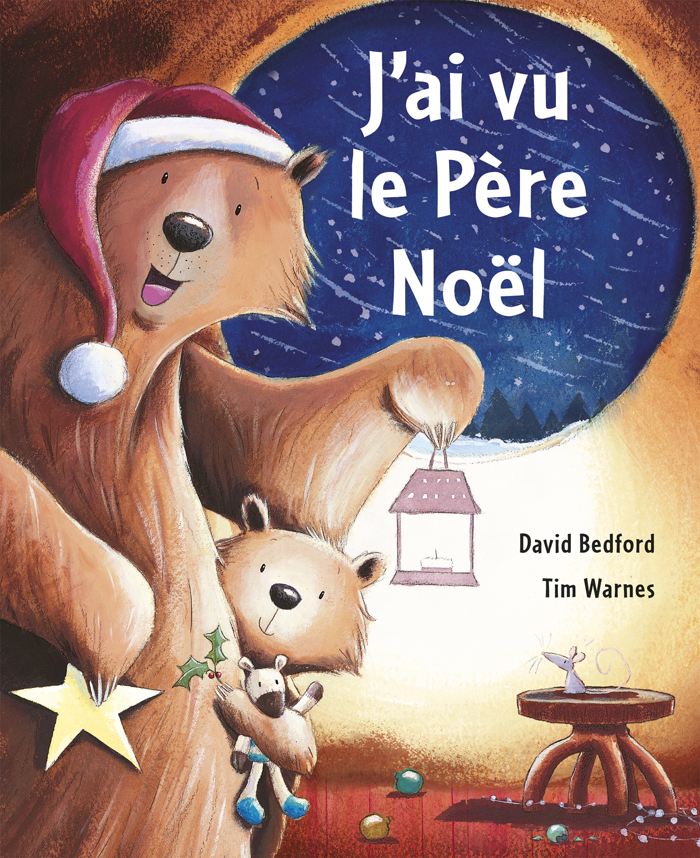 J'AI VU LE PERE NOEL (Jeunesse)
