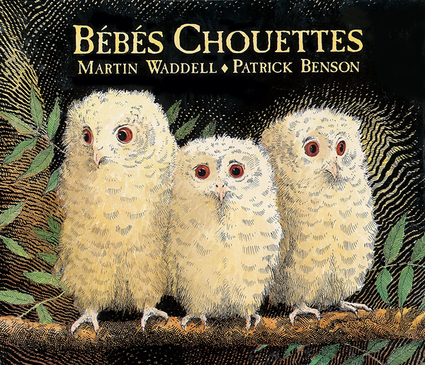 BEBES CHOUETTES (TOUT CARTON) (Jeunesse)