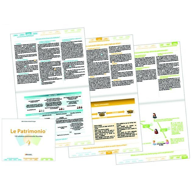 Le Patrimonio - 100 solutions patrimoniales illustrées (Broché)