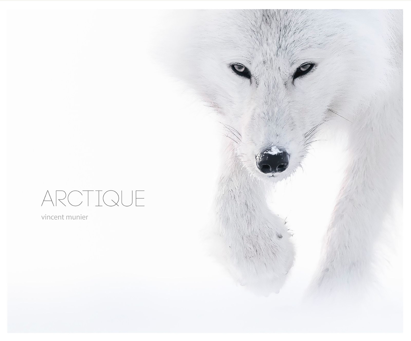 Arctique (Relié)