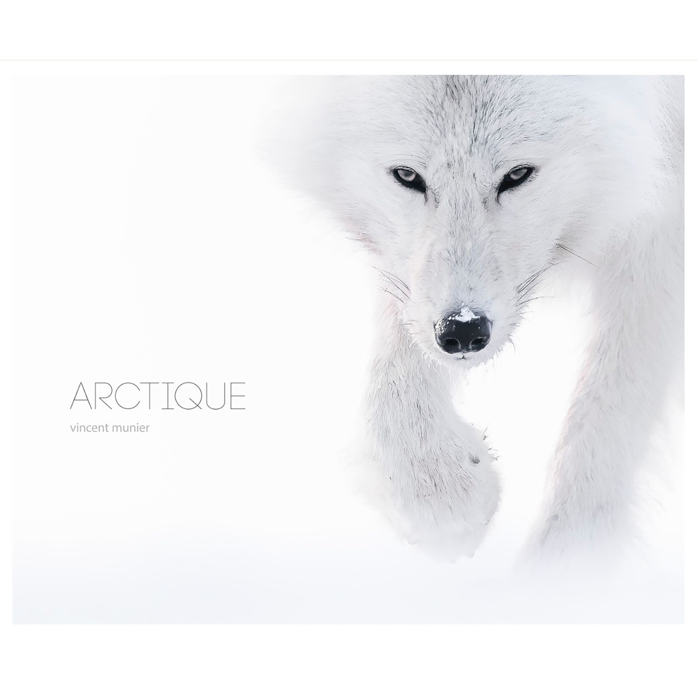 Arctique (Relié)